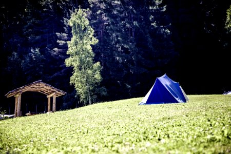 Blue And White Tent On Green Grass Field Near Green Tree