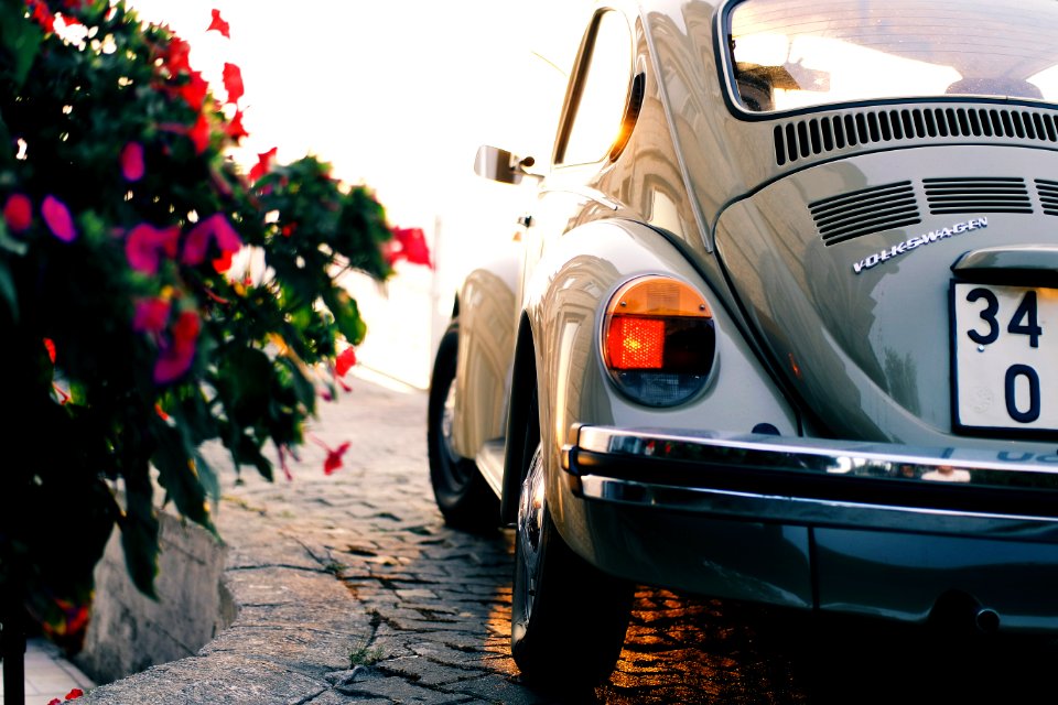Gray Volkswagen Beetle Near Pink Flowers