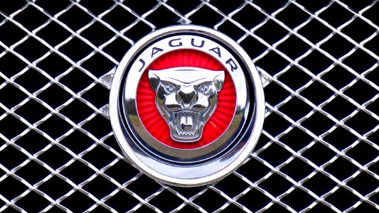 Jaguar Emblem photo