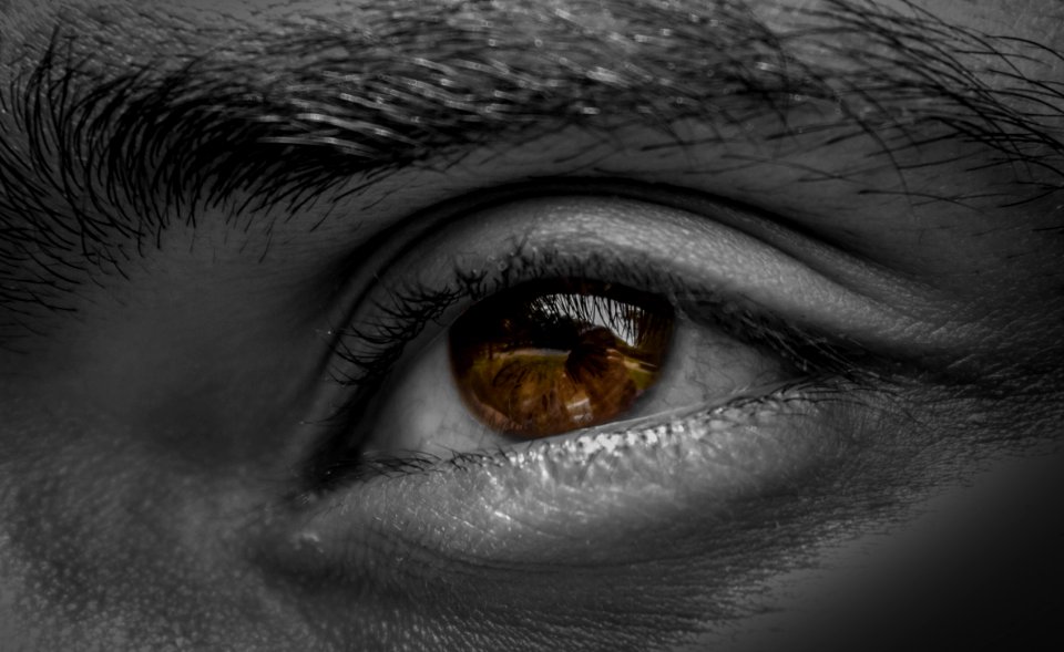 Grayscale Photography Of Human Left Eye