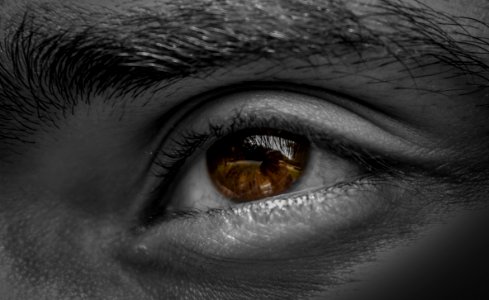 Grayscale Photography Of Human Left Eye