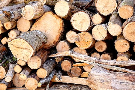 Brown Fire Wood