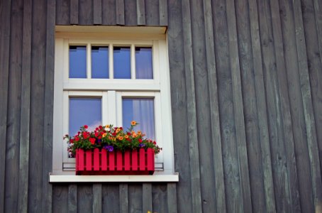 Red And Yellow Flowers Near Window