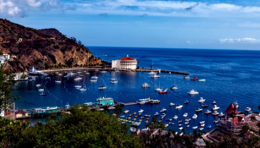 Boats Near Dock On Island At Daytime photo