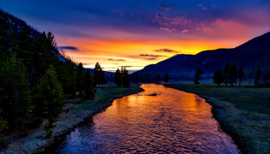 River Surrounded By Green Trees photo