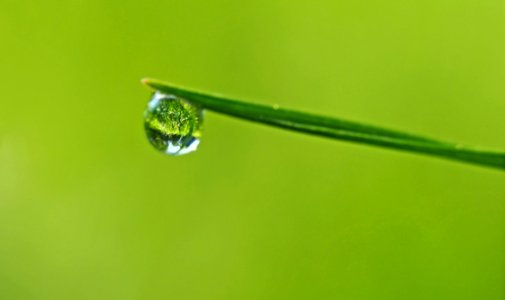 Water Drop On Grass Blade