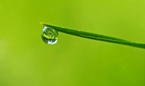 Water Drop On Grass Blade photo