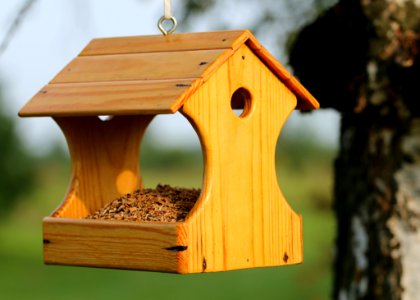 Brown Wooden Bird House Hanging On Tree photo