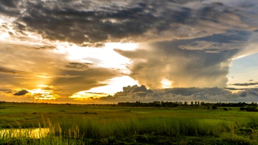 Macro Shot Of Green Grass Field Under Cloudy Sky During Sunset photo