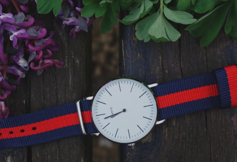 Blue And Red Strap Silver Round Analog Watch Beside Purple And Green Leaf Plant