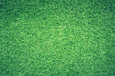 Green Grass Lawn photo