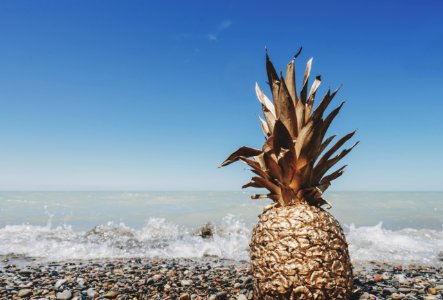 Pineapple On Beach photo