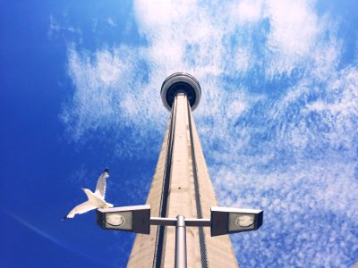 CN Tower Against Blue Sky