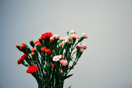 Carnation Bouquet photo