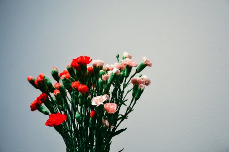 Carnation Bouquet