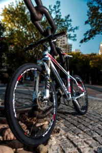 Low Angled Photo Of Black Red And White Hardtail Bike photo