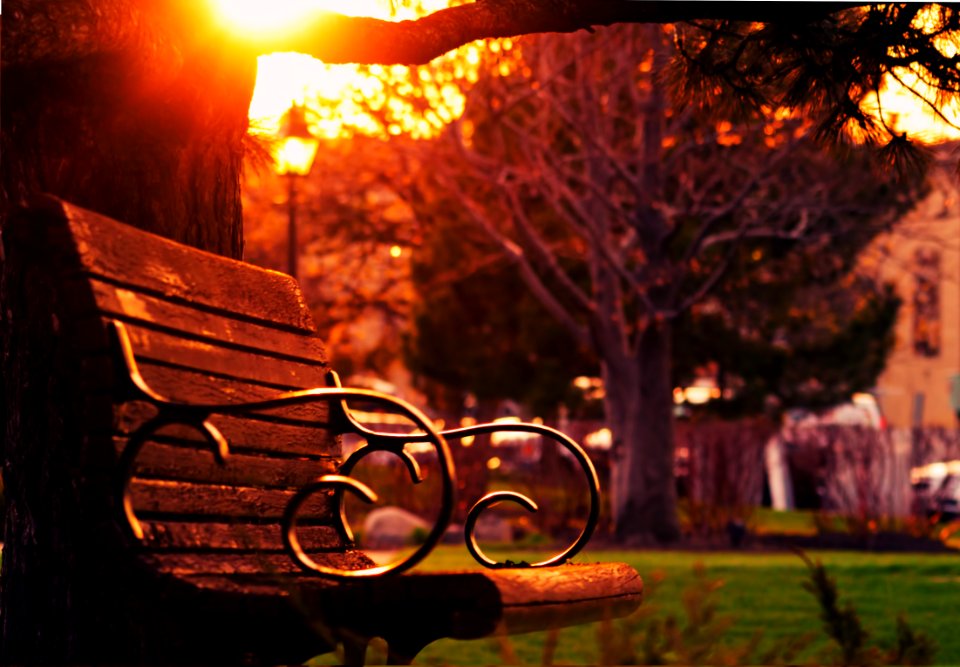 Brown Wooden Bench On Sunset photo