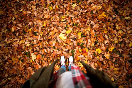 Person Standing On A Ground With Dry Leaves photo