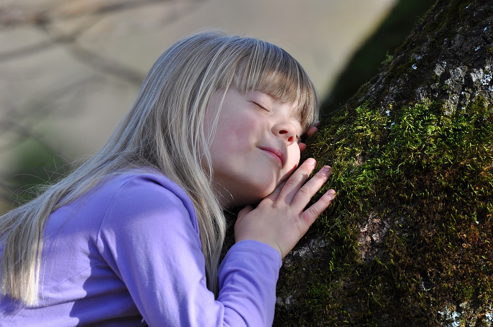Tree nature nature trusts