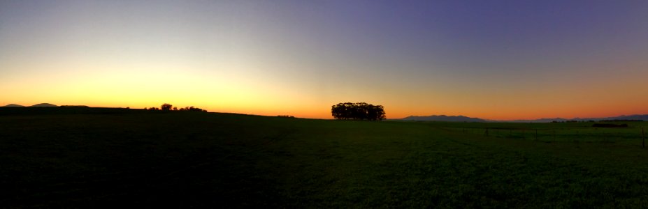 Sunrise On Green Grass Field