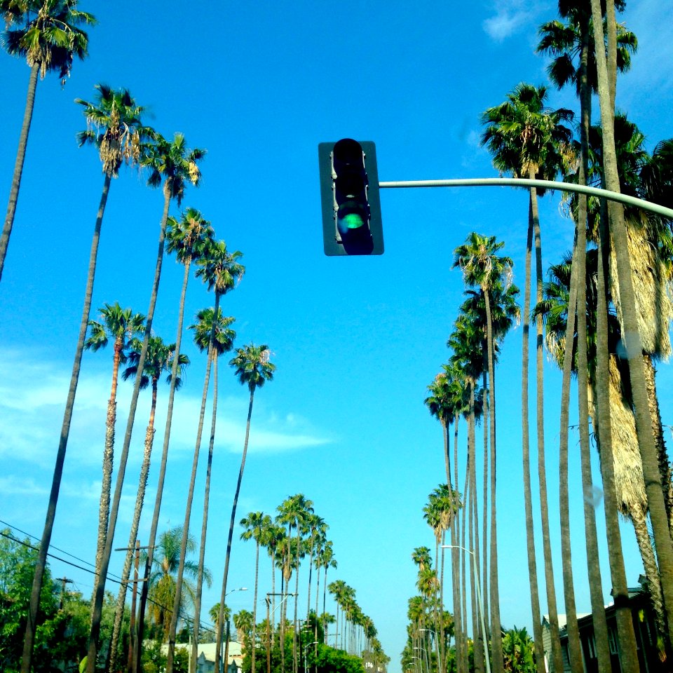 Traffic Light At Green