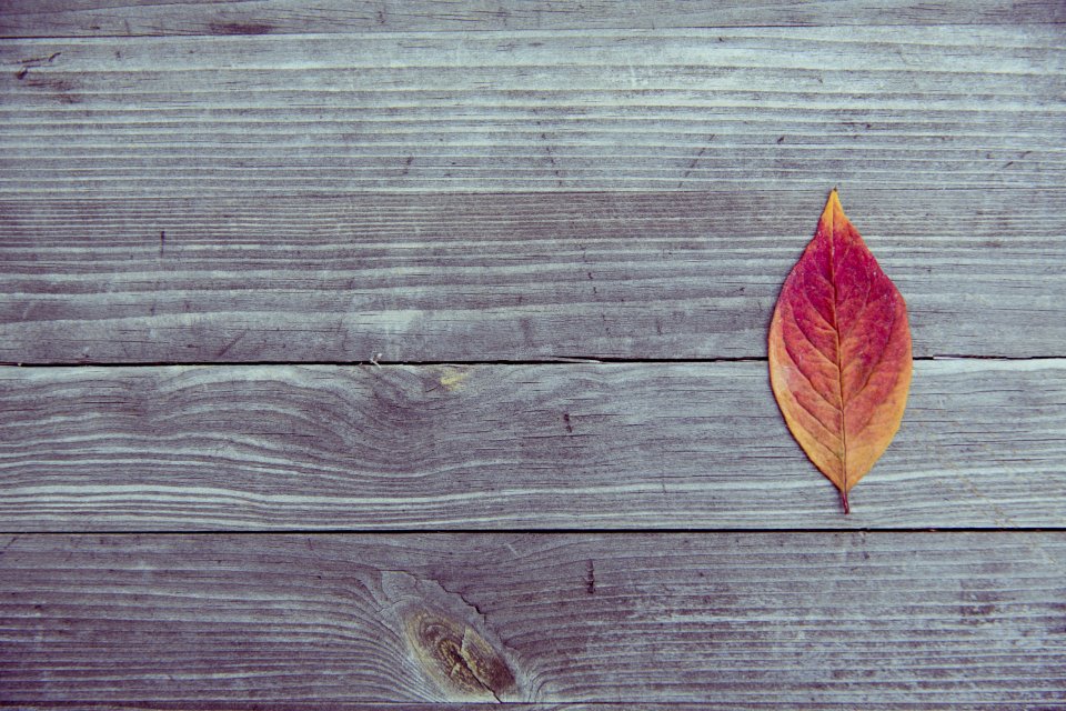 Orange And Red Leaf In Brown Wood Plank