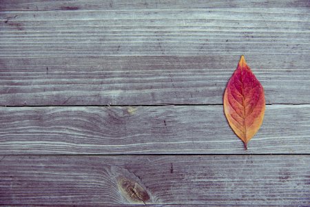 Orange And Red Leaf In Brown Wood Plank photo