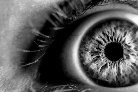 Grayscale Photo Of Human Eye photo