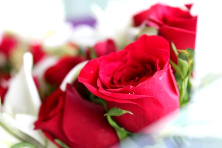 Red Rose Bouquet