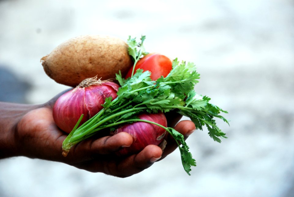 Hand Holding Vegetables