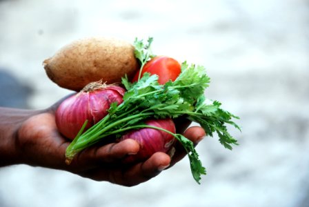 Hand Holding Vegetables