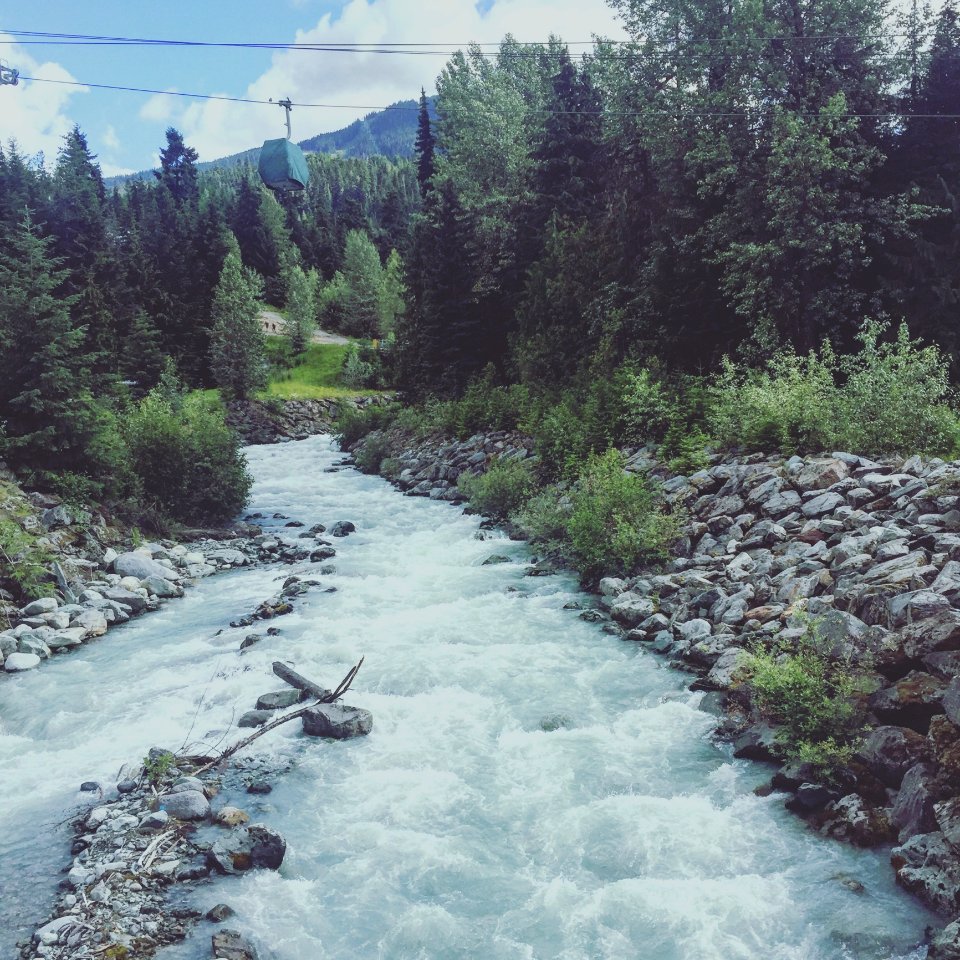 River Between Of Grey Pebbles And Green Trees