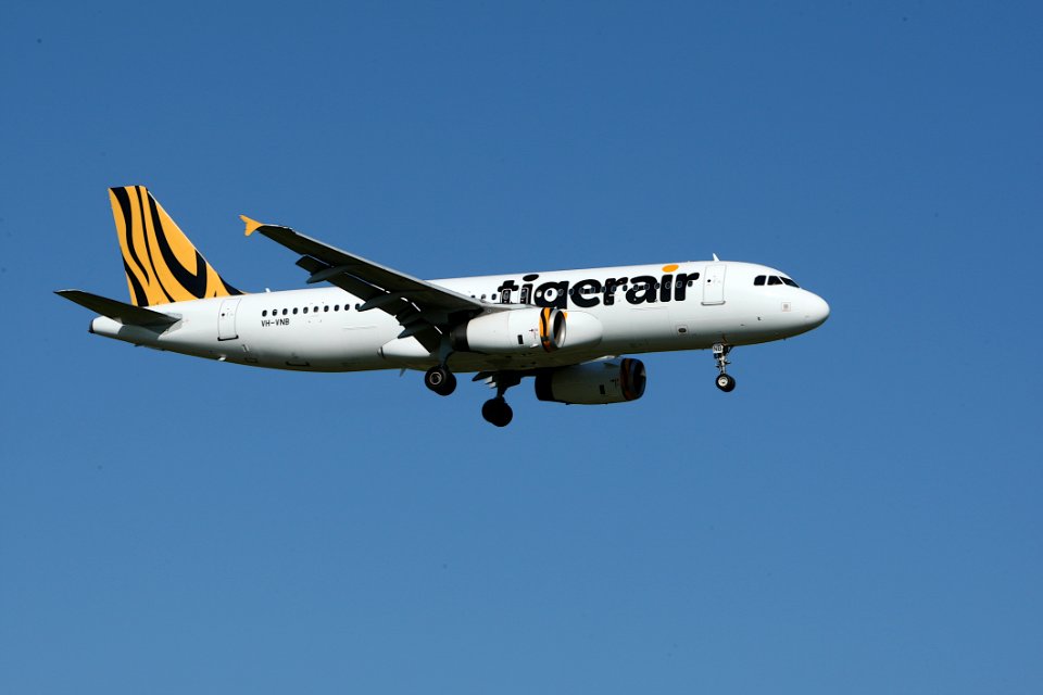 White And Yellow Tigerair Airplane