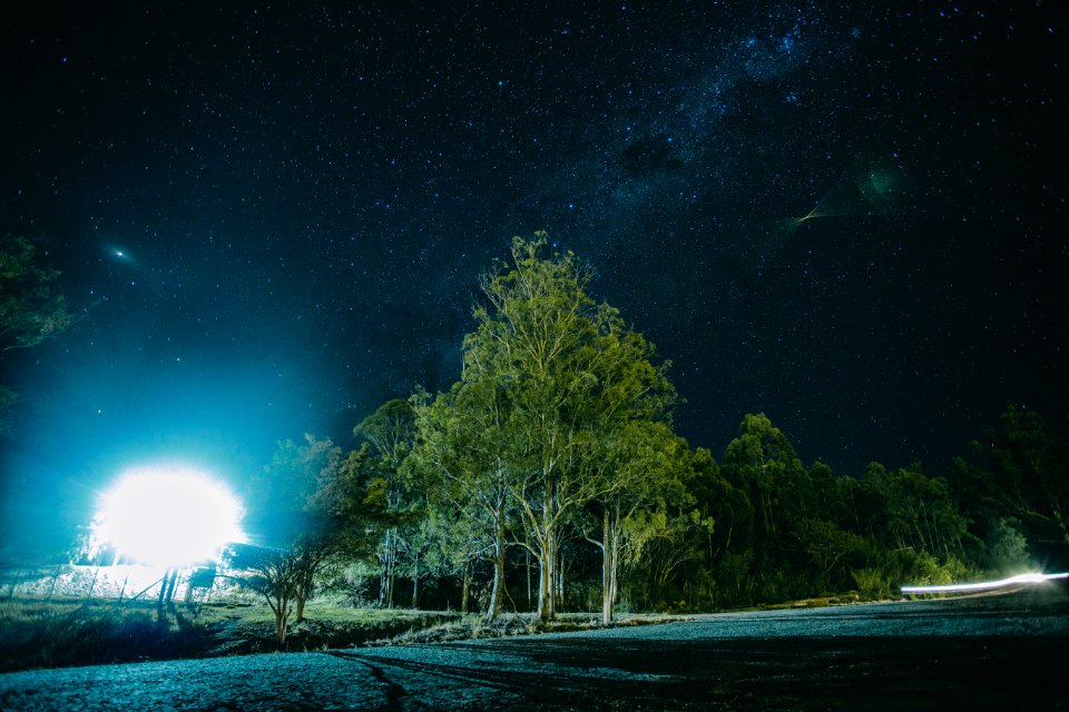 Night Photography Of Tree