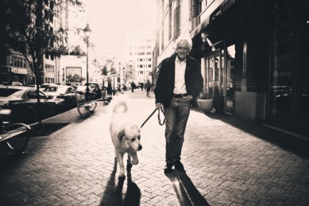 Man Walking Dog photo