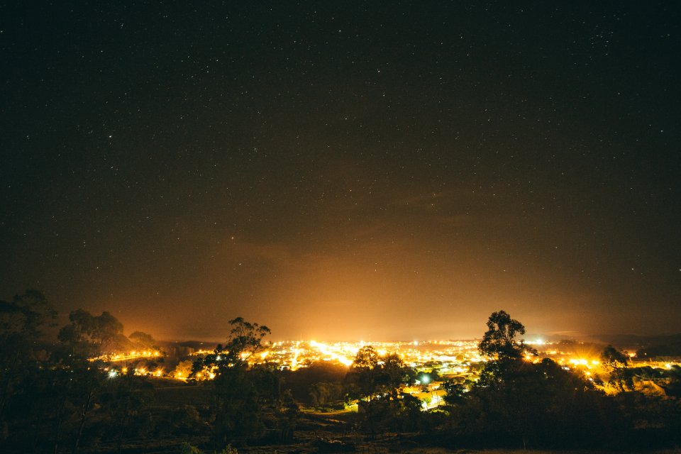 City Lights Surrounded By Trees During Nighttime