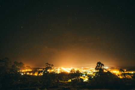 City Lights Surrounded By Trees During Nighttime