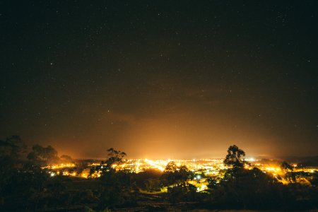 City Lights Surrounded By Trees During Nighttime photo