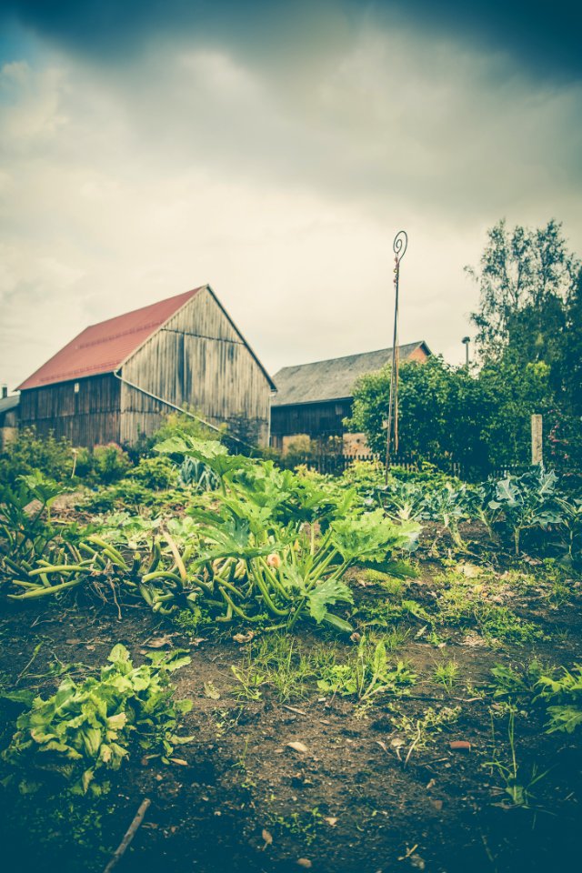 Green Plants Near White And Red Wooden House Under Dramatic Clouds During Daytime photo