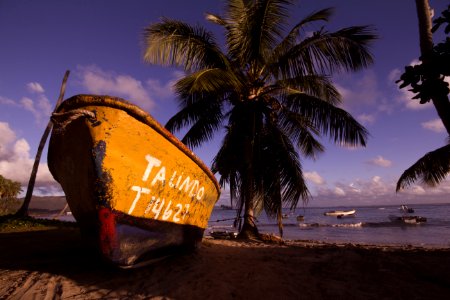 Brown And Black Boat On Shore Near Coconut Trees Under Blue Sky And Clouds photo