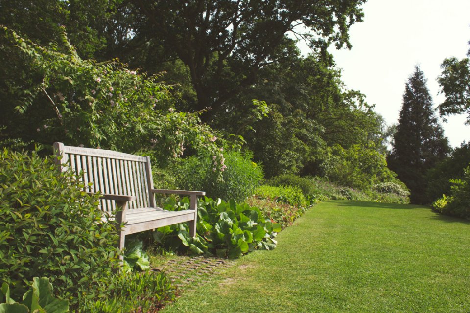 Garden With Bench