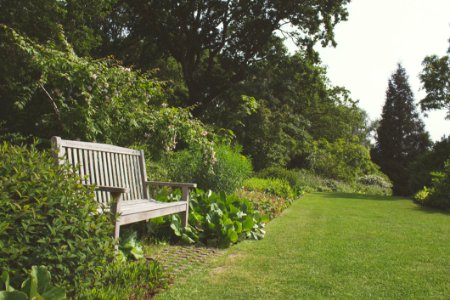 Garden With Bench