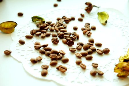 Brown Coffee Bean On White Surface photo