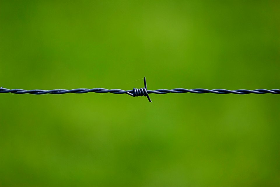 Barbed Wire Near On Green Surface photo