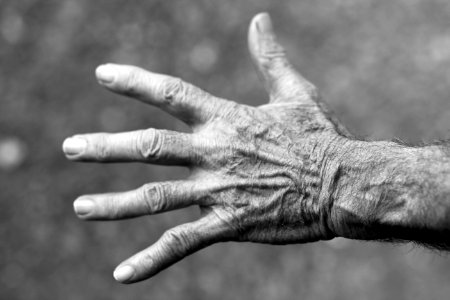 Grayscale Photo Of Left Human Hand photo