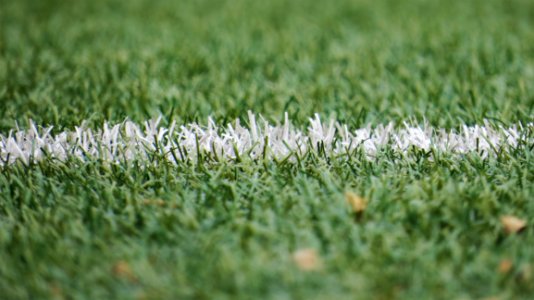 White Line On Green Grass