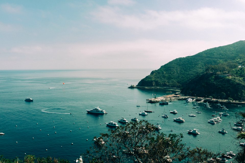 Boats In Harbor photo