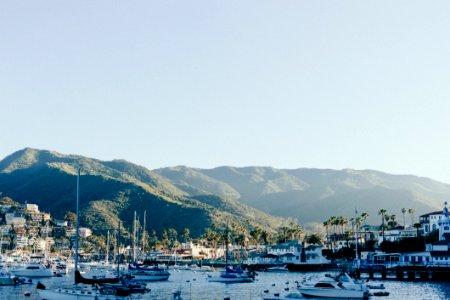 Boats In Port