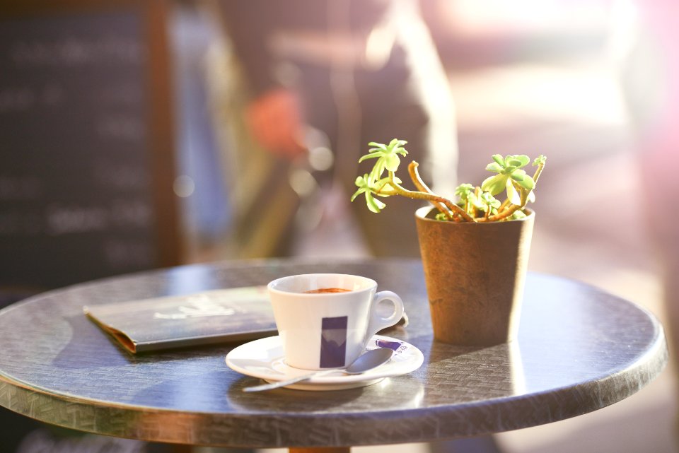 Cup Of Coffee On Table Beside Plant