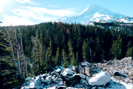 Evergreen Forest And Mountain Peak photo